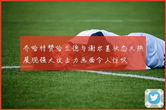 乔哈特赞哈兰德与谢尔基状态火热展现强大攻击力画面令人惊叹