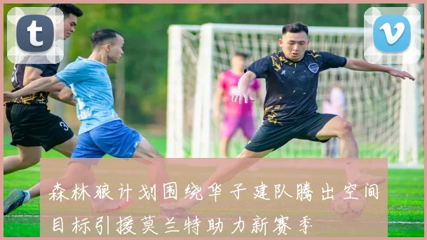 森林狼计划围绕华子建队腾出空间目标引援莫兰特助力新赛季